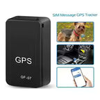 Real-Time GPS Car & Pet Locator